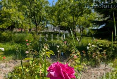 Teren pentru constructie casa in Faget - 5