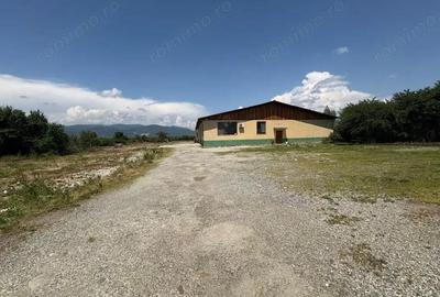 Vanzare teren intravilan 2,5 ha - infrastructura industriala ?i hala func?ionala - 4