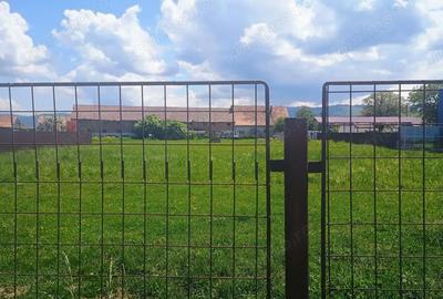 Teren de 4400 mp, în Cărpiniș - 7
