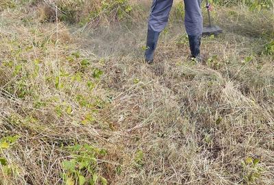 Spațiu comercial, în Dumitrana - 4