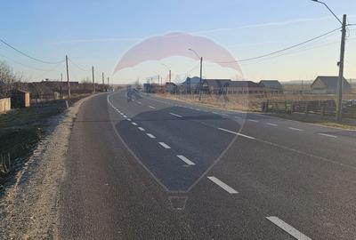 Teren de 6972 mp, în Găiceana - 6