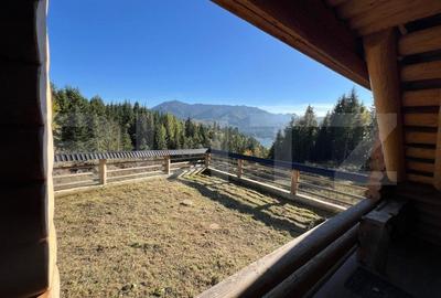 Cabana de vanzare in Colibita, 9 camere, 1002 mp teren - 6