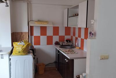 Garsonieră semidecomandată în Lacu - 4