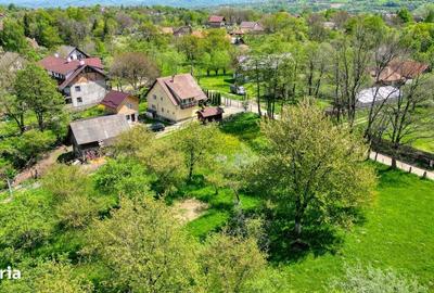 Spațiu comercial, în Bran - 18