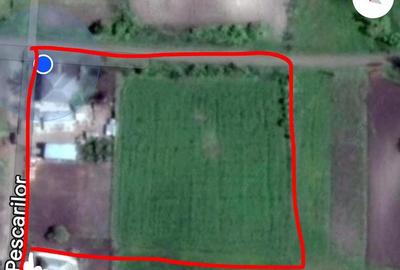 Casă cu 4 camere cu Teren 6000 Mp în Havârna - 1