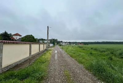 Teren în Păulești - 4
