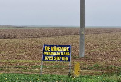 Teren de 93000 mp, în Gepiu - 1