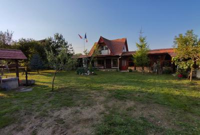 Proprietate de vânzare/schimb la Fântânele – Sibiu - 3