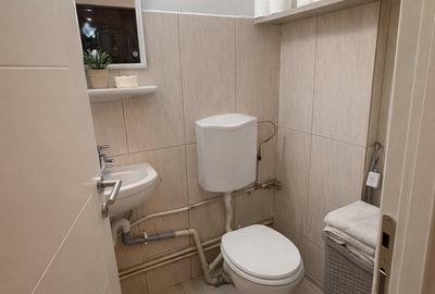 Apartament cu 3 camere decomandat, mobilat în Dacia - 14