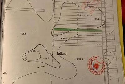 Teren de 7500 mp, în Brănești - 3