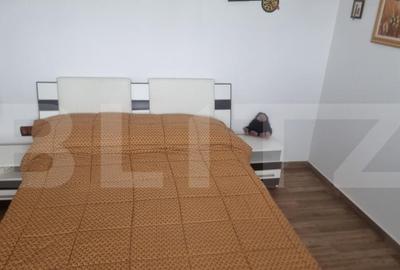 Proprietate multifunctionala,VILA,Teren 28000 mp+afacere pis - 33