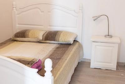 ULTRACENTRAL- CISMIGIU,vila individuala,p+2,renovata si mobilata integral - 11