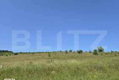 Spațiu comercial, în Sălicea - 6