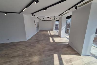 Birou, de 140 mp, în Pache Protopopescu - 6