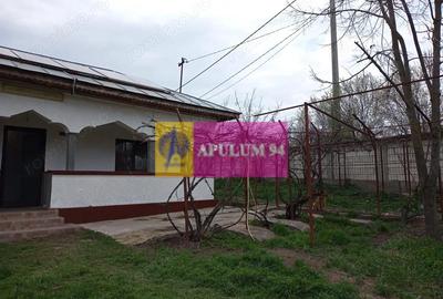 Casă cu 2 camere cu Teren 5000 Mp în Bucșani - 9
