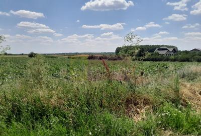 Teren în Central - 1