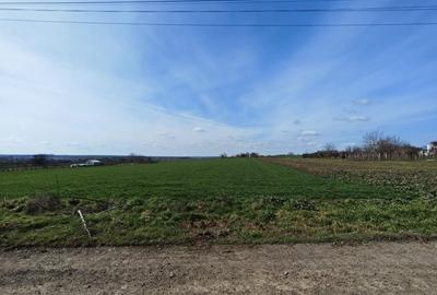 Teren Construcții intravilan de 252 mp, în Valu lui Traian - 9