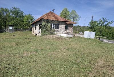 Casă cu 3 camere cu Teren 1000 Mp în Central - 1