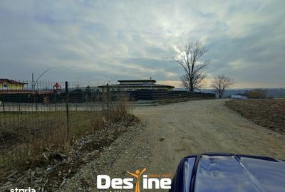 Teren de 8100 mp, în Dumești - 2