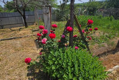 Casă individuală cu 5 camere cu Teren 850 Mp în Vărsătura - 17