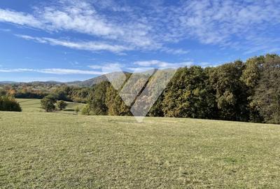 Teren extravilan 1342 mp zona linistita – Rasinari - Sibiu - 1