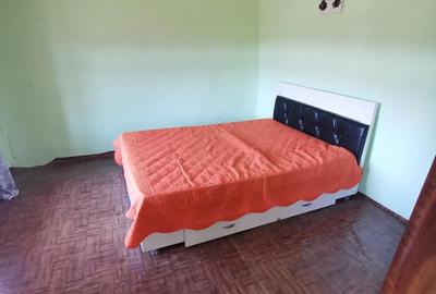 Casă cu 2 camere în Dumești - 4