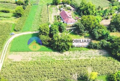 TEREN intravilan GIROV 4133 mp - 19