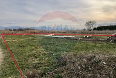 Teren Construcții intravilan de 700 mp, în Bod - 2