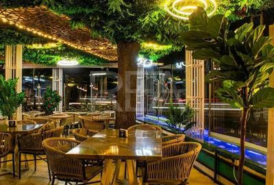 Vanzare Afacere La Cheie - Arcul de Triumf - 2