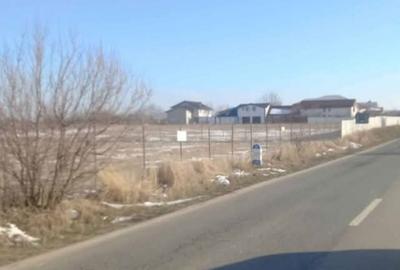 Teren de 21700 mp, în Vânători - 4