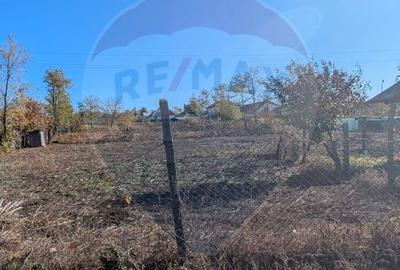 Teren de 1200 mp, în Perieni - 3