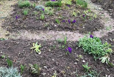 Predeal, apartament 2 camere dec et 1 - 7