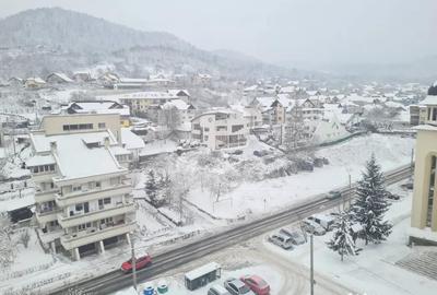 Apartament cu 3 camere decomandat în Săsar - 3