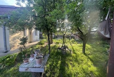 Teren 729 mp cu casa individuala - cartier Bulgaria, zona linistita - 15