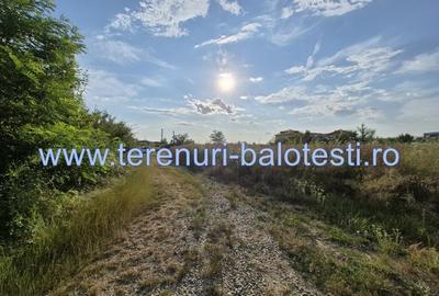 Teren ieftin la liziera padurii Balotesti, 350mp - 15