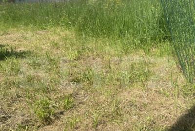 Teren intravilan in Vatra Dornei, 1000 mp - 5