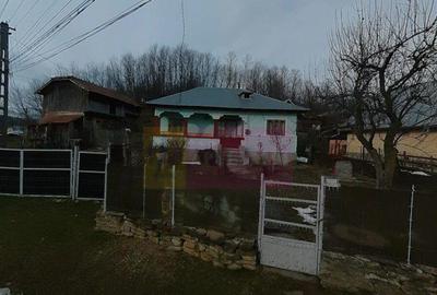 Casa batraneasca cu teren (4.910 mp) la Alunis - 26