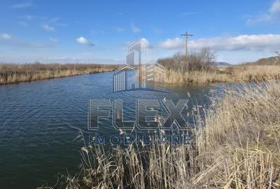 Teren de 38300 mp, în Valea Nucarilor - 5