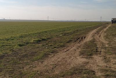 Teren de 9740 mp, în Bălăceanca - 1