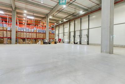 Spatiu depozitare clasa A centura zona de nord vest, Chitila. - 8
