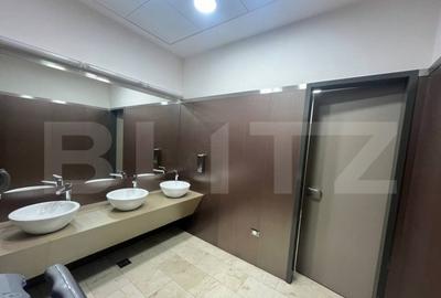 Spatiu de birouri, 375 mp, suprafete flexibile, Bd. Cetatii - 4