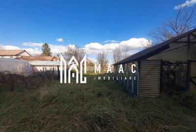 Casa 5 camere | 1600 mp Teren | Sura Mica - 17