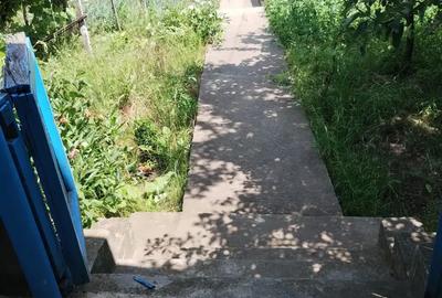Vand casa cu teren de 2000mp in Bogdanesti - 3