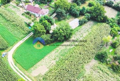 TEREN intravilan GIROV 4133 mp - 14