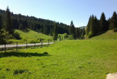 Teren de 12500 mp, în Lunca - 4