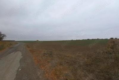 Teren de vanzare in Valu Lui Traian, Cartierul Nou - 403 mp - 2