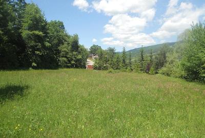 Teren de 10000 mp, în Central - 14