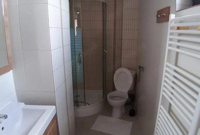 Garsonieră decomandată, mobilată în Dămăroaia - 3