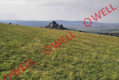 Teren de 11900 mp, în Central - 4