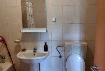 Apartament cu 2 camere decomandat în Doamna Ghica - 6